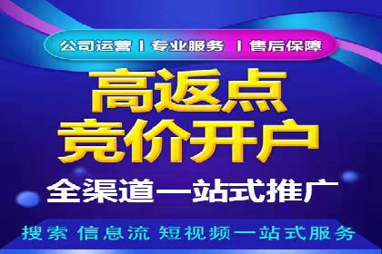 SEM代运营案例分析：精准投放策略解析