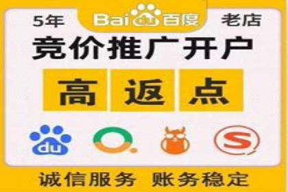 竞价广告的创意与执行：一则经典案例剖析